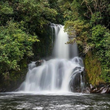 Blackfern Lodge Waimiha 外观 照片