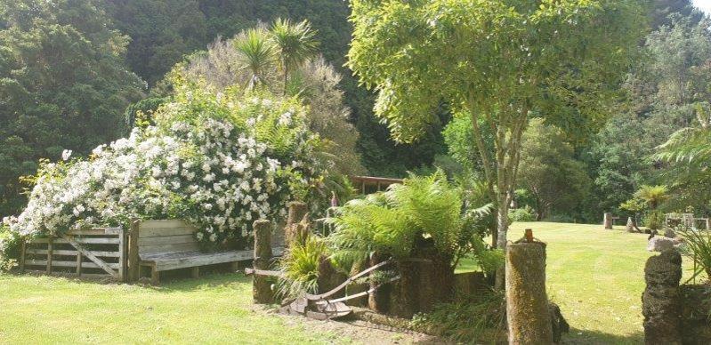 Blackfern Lodge Waimiha 外观 照片